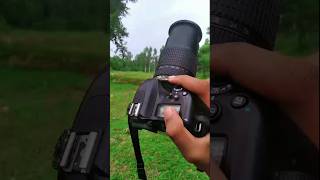 Nikon 7500d with 75 300mm lens test camera📸🔥nikon photography😍✅shortsnpl photographyshorts [upl. by Yrocal]