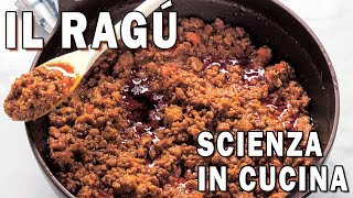 IL RAGÚ  La Scienza in Cucina [upl. by Alston244]