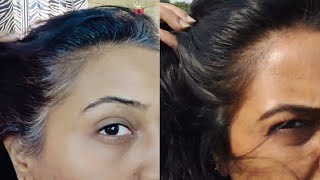 Indigo powder  लौंग  Tea  Alovera gel  No dryness Natural Hair Colour  Indigo Remedy with twist [upl. by Vitus444]