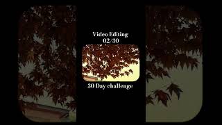 Day 2 of 30 day cinematic video editing challenge [upl. by Oinolopa767]