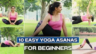 Beginners Yoga Series10 Yoga Poses For Beginners  Full Body Stretch  Daily Yoga Routine  Yoga [upl. by Treiber135]