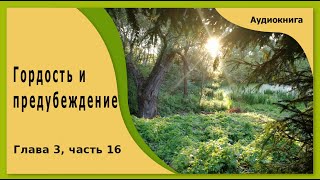 Гордость и предубеждение  аудиокнига глава 3 часть 16 [upl. by Lacie]