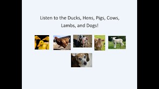 Listen to the Ducks Hens and Lambs Pigs Cows Dogs Cats and Horses [upl. by Lahpos]