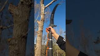 You can stand down from this argestable saw and cut down a tall tree shortvideo [upl. by Lucila]