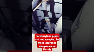 Are Polybutylene pipes bad plumbing homeowner homeinspection florida [upl. by Drannel]