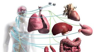 Pharmacology1 Direct Sympathomimetic [upl. by Luar]