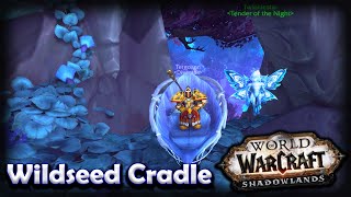 How to Get the Wildseed Cradle  WoW Shadowlands Cache of the Moon [upl. by Elyc]