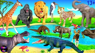 Animals Lion Leopard Elephant Hippo Giraffe Gorilla Crocodile Baboon Buffalo 13 [upl. by Sirej584]