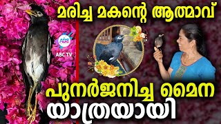 ആത്മാവായ മൈന വിടപറഞ്ഞു  ABC TV [upl. by Enymsaj]