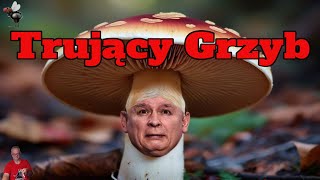 Trujący Grzyb 🍄 [upl. by December]