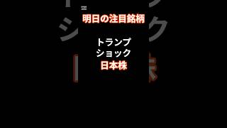 2024年11月6日 日本株 明日の注目銘柄 投資 投資信託 https 地震 株価 日本株 配当 [upl. by Nolrah655]