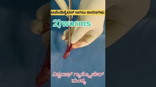 Causes of appendicitis in kannada [upl. by Ientruoc262]