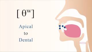 θʷ  unvoiced labialized apical dental non sibilant fricative [upl. by Fay144]