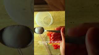 EXTRACT DNA FROM STRAWBERRY AT HOME😲🍓  Experiment at Home [upl. by Faulkner]