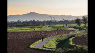 Nuvole di storni nericome esuli pensieri nel vespero migrar [upl. by Gibbie128]