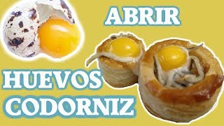 ➡️ CÓMO ABRIR HUEVOS 🥚 DE CODORNIZ FÁCILMENTE Y RÁPIDO [upl. by Refotsirk468]