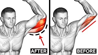 Best Triceps Workout  Lateral Head  Long Head  Medial Head  Maniac Muscle [upl. by Jarin]