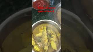 Ajke dupurer special lunch bengoli thali [upl. by Atikihs675]