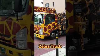 Zebra truck shorts amazing [upl. by Oriane]