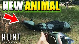 New Cow Animal in Hunt Showdown 1896 [upl. by Ramoh]