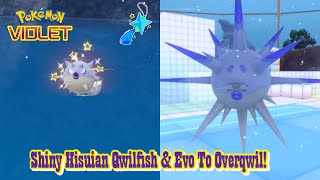 ✨Pokémon Violet SHINY BEAST BALL HISUIAN QWILFISH  EVOLUTION TO OVERQWIL✨ [upl. by Euqnimod]