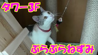 手作りキャットタワー3F「ぶらぶらねずみ」で遊ぶ猫 Cat playing with hand made tower quotHanging Ratquot [upl. by Schonthal]