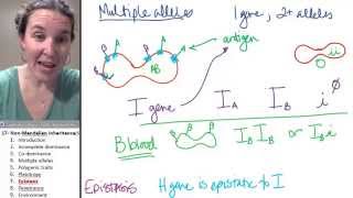 Non mendelian inheritance 7 Epistasis [upl. by Araldo]