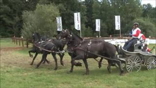 Benjamin Aillaud  CAIO 4 NEBANICE  extrait Marathon [upl. by Ocihc]