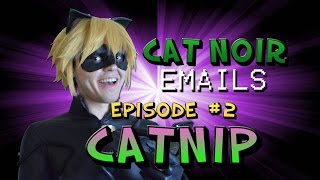 MiracuLeague Cat Noir Emails  Email 2 Catnip [upl. by Lynne]