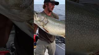 Massive Lake Trout [upl. by Hadias]