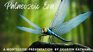 Palaeozoic Eramontessori inspired lesson for children mp4 [upl. by Lumbye270]