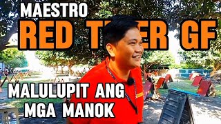 Maestro Red Tiger  Malulupit Ang mga Manok sa Mini Expo [upl. by Burkitt]