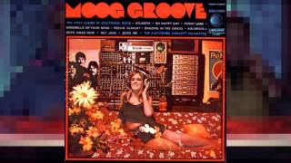 Electronic Concept Orchestra  Moog Groove Full Album [upl. by Samantha]