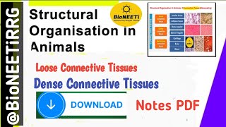 Connective Tissue 3  Loose amp Dense NEET Biology NCERT [upl. by Icart]