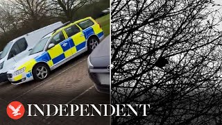 Bird mimics police siren sound as it sits in tree next to police car [upl. by Toddie]