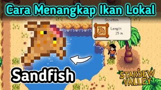 Mancing Sandfish Di Stardew Valley [upl. by Ainsworth]