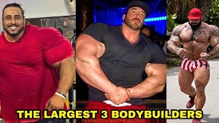 Meet The 3 Biggest Bodybuilders In The World [upl. by Bj]