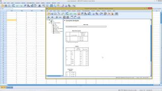 SPSS  Conjoint Analysis [upl. by Norwood]