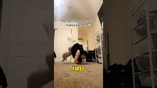 She Proves Everyone Wrong by Doing a Back Walkover [upl. by Akem703]