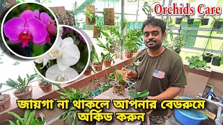 অর্কিড গাছে ফুল হবে এখন আপনার বেডরুমে ভিডিওটি সম্পূর্ণ দেখলেPhalaenopsis orchid care for beginners [upl. by Noryk]