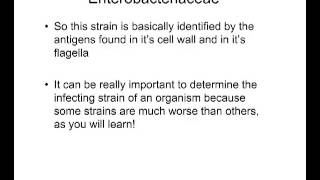 The Enterobacteriaceae Family [upl. by Siahc]