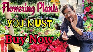 Excellent flowering plants you must buy in November and December  Must Buy flower 🌺🌻🌹🌷Plants [upl. by Anaher]