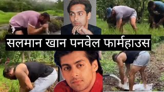 Salman Khan Panvel farmhouseRice plant salmankhan farmhousefilmigaane [upl. by Balac]