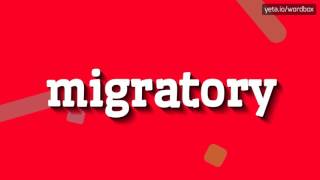 MIGRATORY  HOW TO PRONOUNCE MIGRATORY [upl. by Sonny165]