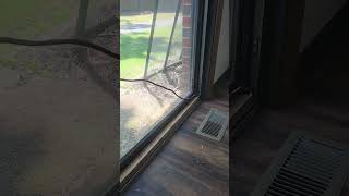 Sliding Glass Door with block in track [upl. by Boland78]