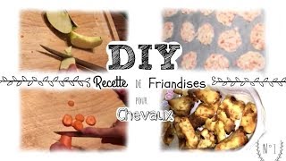 DIY FRIANDISES POUR CHEVAUX – N°1 🥣 [upl. by Amii271]