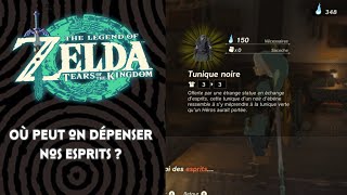 Où peut on dépenser nos ESPRITS   ZELDA  TEARS OF THE KINGDOM [upl. by Akirahs]