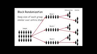 block randomization [upl. by Estelle]