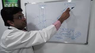 Why aPTT is used to monitor unfractionated heparin UFH not LMWH low molecular weight heparin [upl. by Debarath]