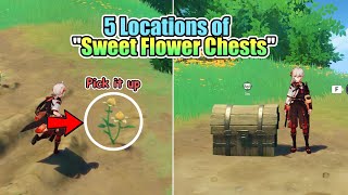 5 Hidden Sweet Flower Chests  Genshin Impact [upl. by Jeaz]